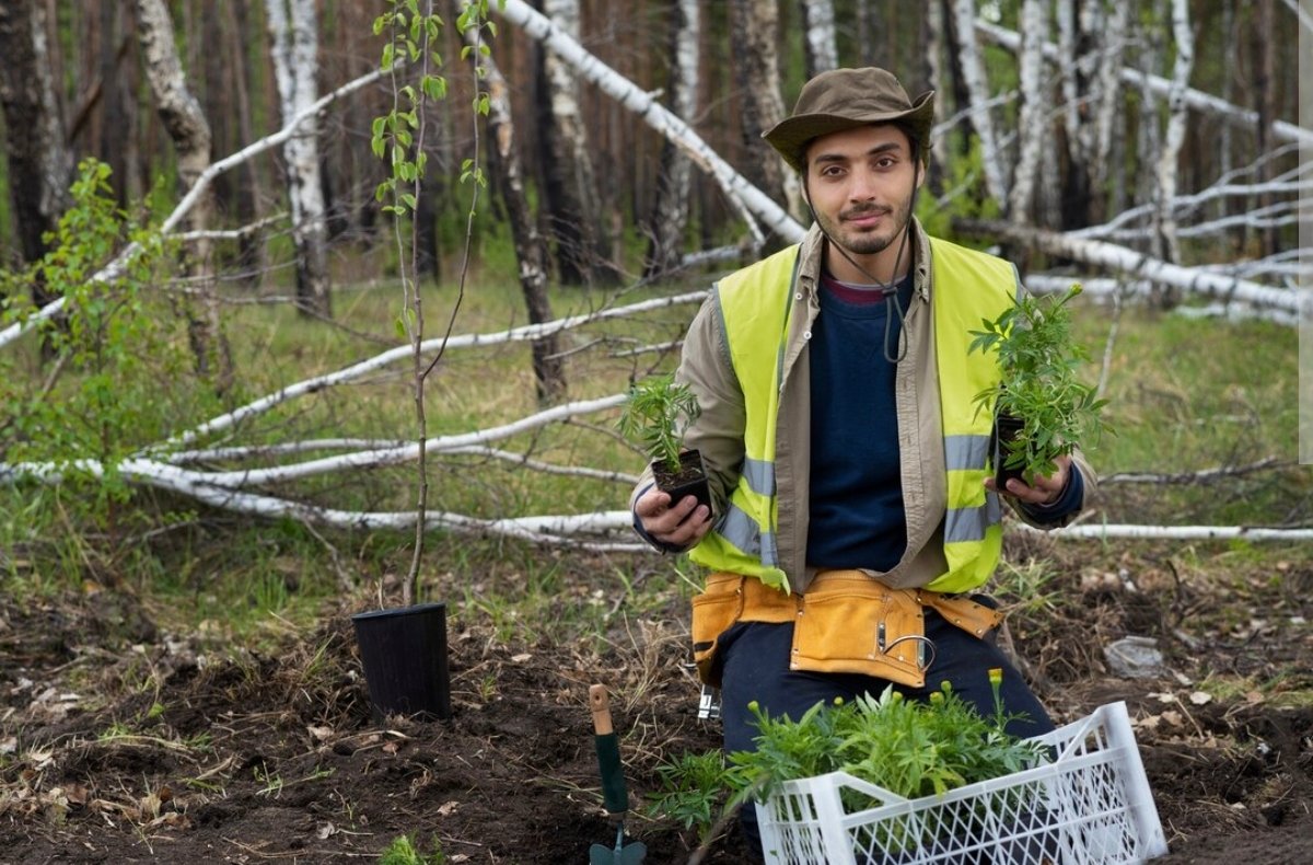 Affordable Tree Cutting Service in Venice, FL: Keeping Your Coastal Property Safe